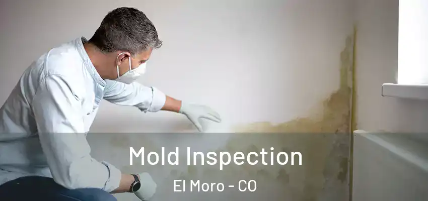  Mold Inspection El Moro - CO