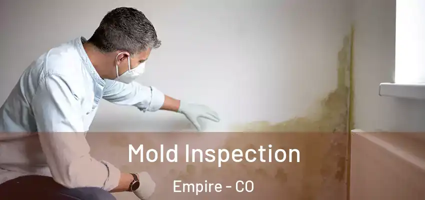 Mold Inspection Empire - CO