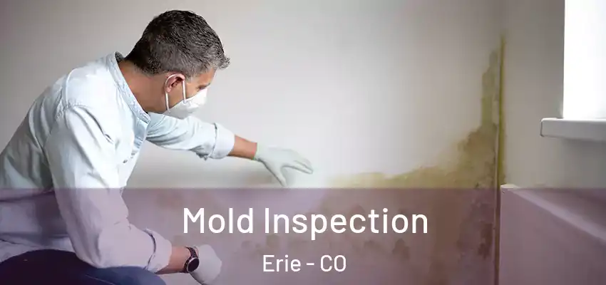  Mold Inspection Erie - CO