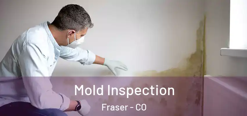Mold Inspection Fraser - CO