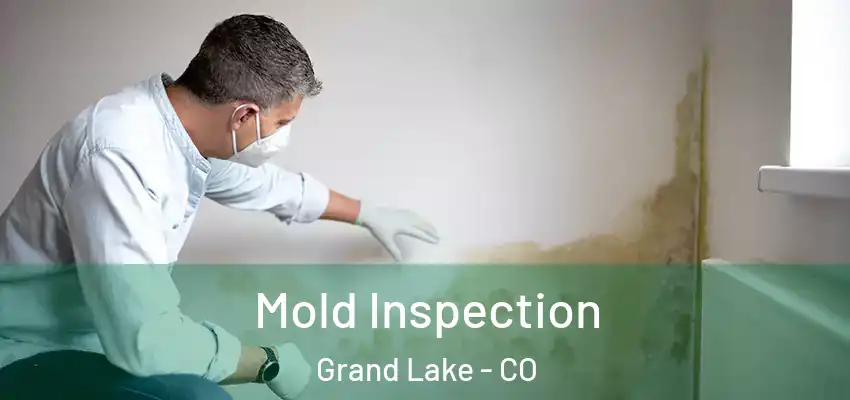 Mold Inspection Grand Lake - CO