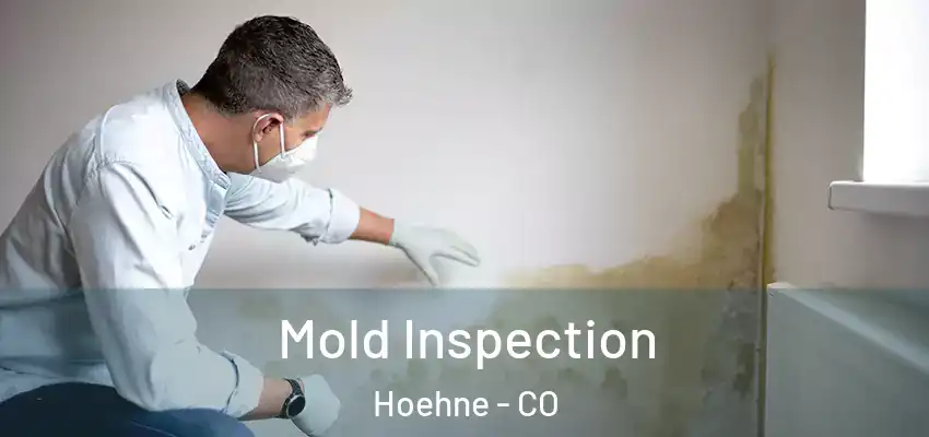  Mold Inspection Hoehne - CO
