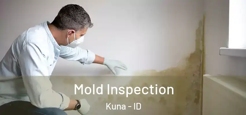 Mold Inspection Kuna - ID
