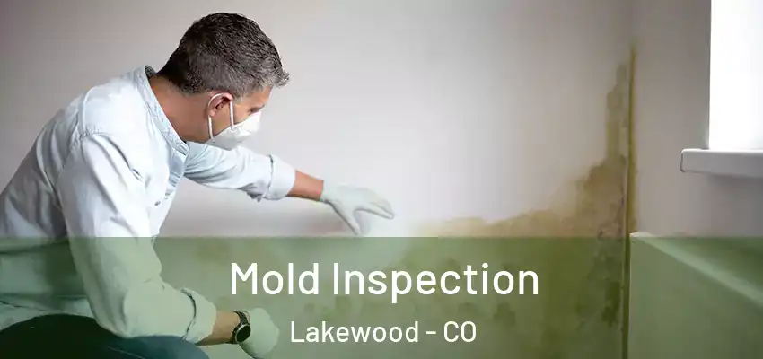  Mold Inspection Lakewood - CO