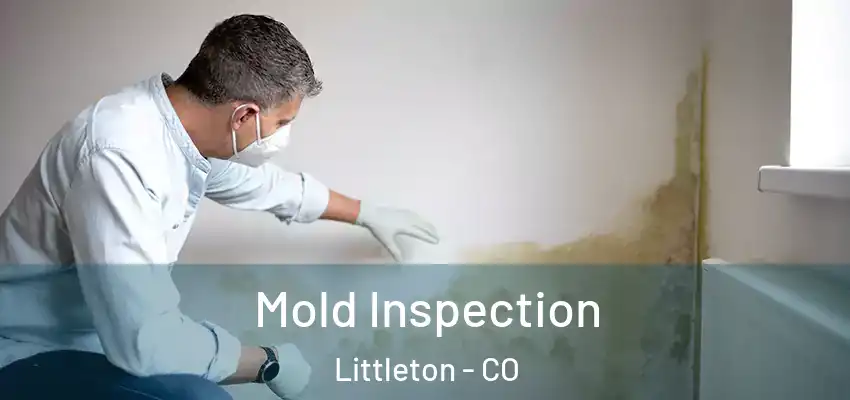  Mold Inspection Littleton - CO