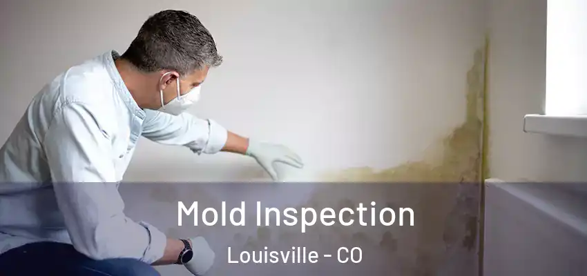 Mold Inspection Louisville - CO
