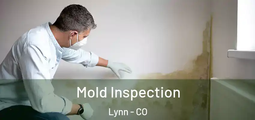 Mold Inspection Lynn - CO