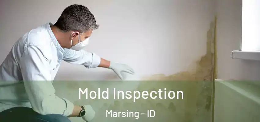  Mold Inspection Marsing - ID