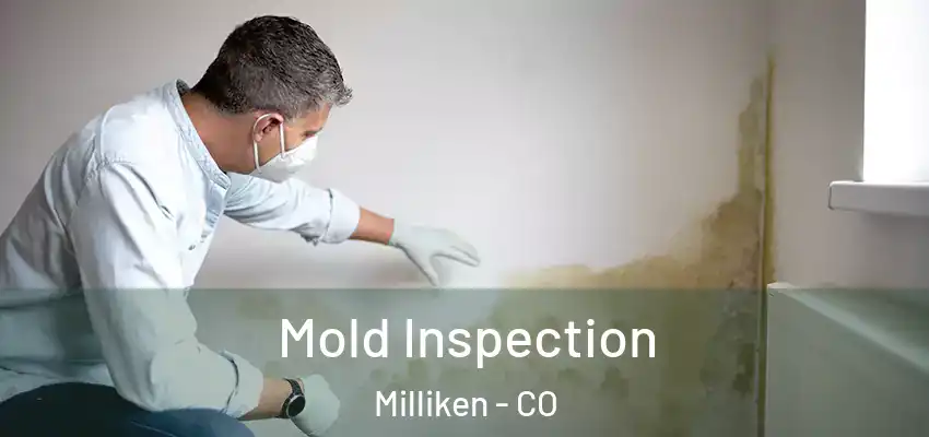 Mold Inspection Milliken - CO