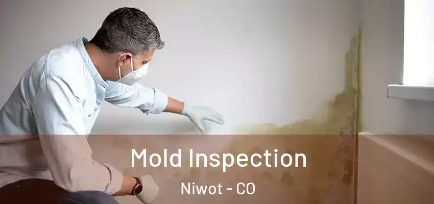 Mold Inspection Niwot - CO