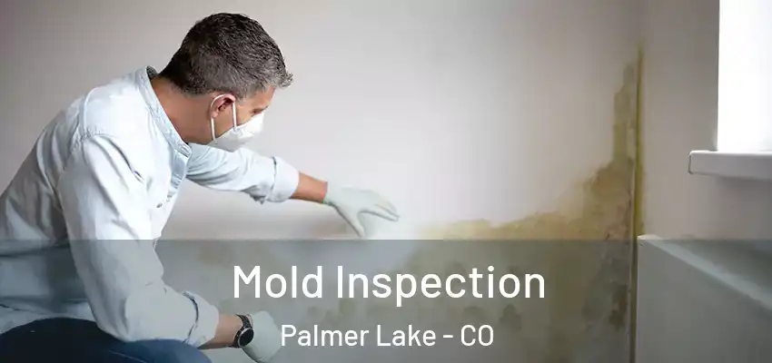 Mold Inspection Palmer Lake - CO