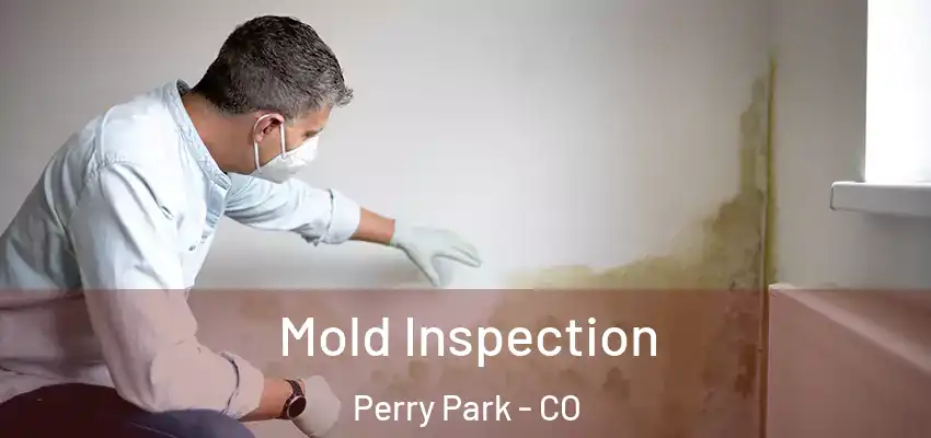 Mold Inspection Perry Park - CO