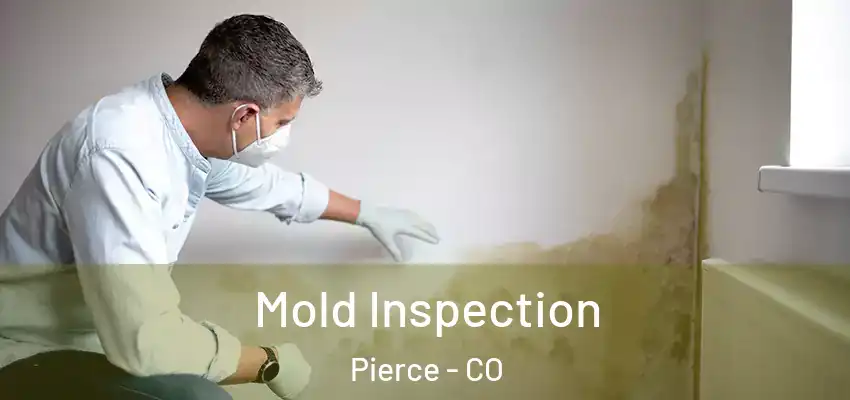 Mold Inspection Pierce - CO