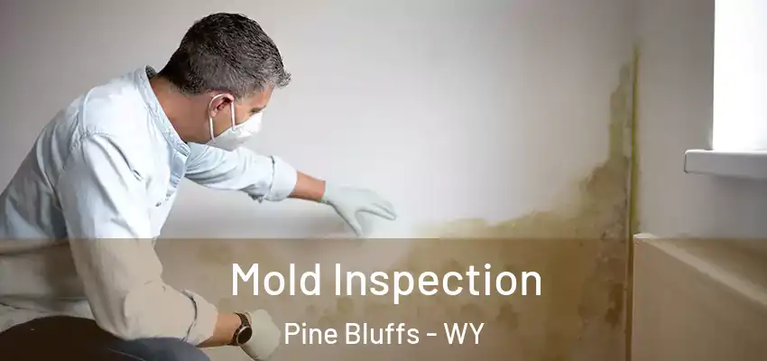  Mold Inspection Pine Bluffs - WY