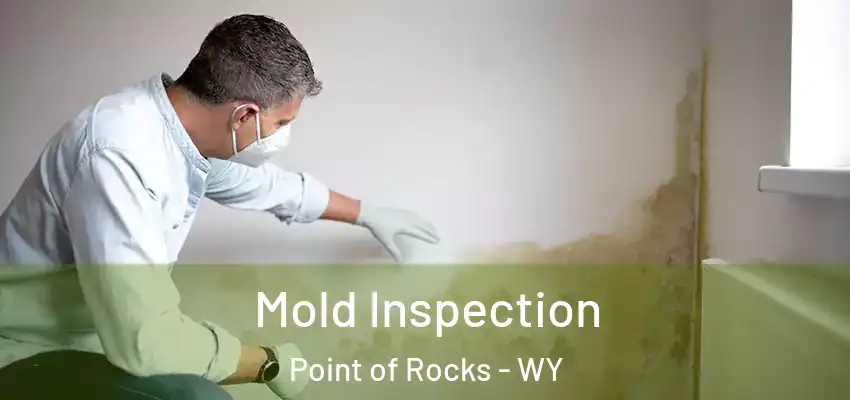  Mold Inspection Point of Rocks - WY