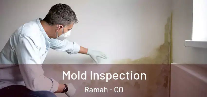 Mold Inspection Ramah - CO