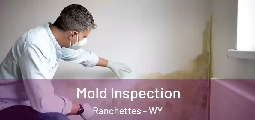 Mold Inspection Ranchettes - WY