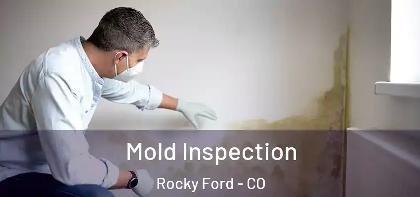 Mold Inspection Rocky Ford - CO