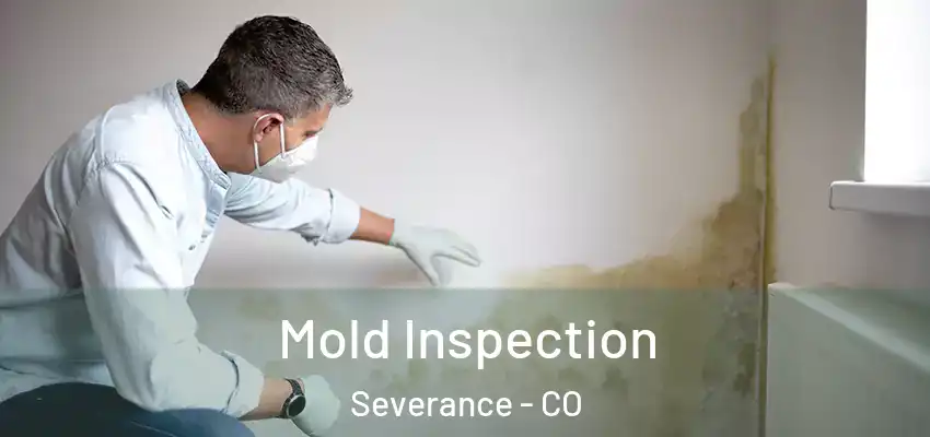 Mold Inspection Severance - CO
