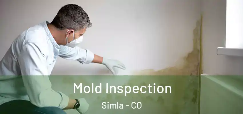 Mold Inspection Simla - CO