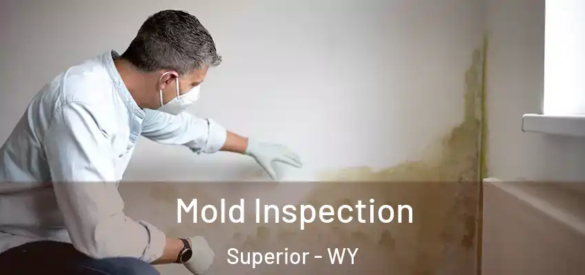  Mold Inspection Superior - WY