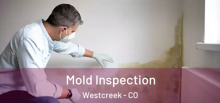  Mold Inspection Westcreek - CO