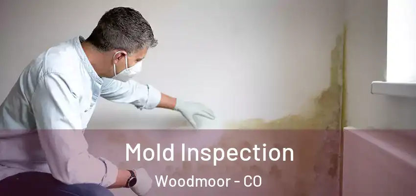 Mold Inspection Woodmoor - CO
