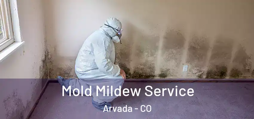  Mold Mildew Service Arvada - CO
