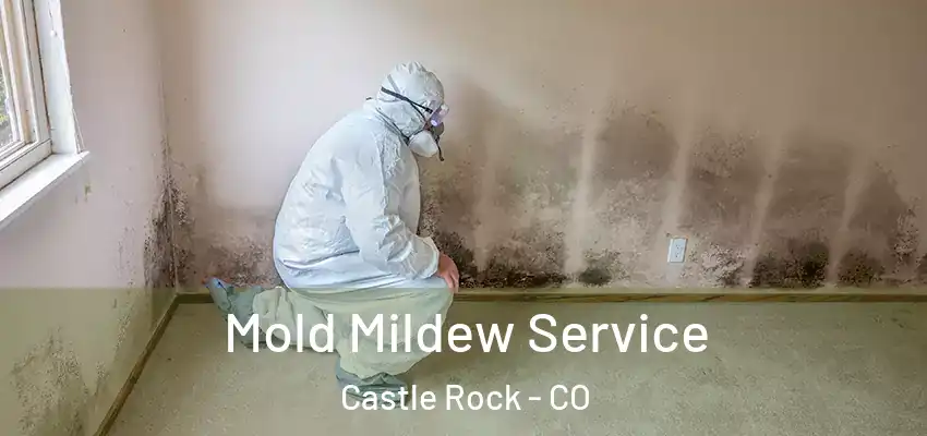  Mold Mildew Service Castle Rock - CO