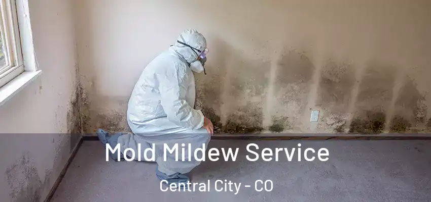  Mold Mildew Service Central City - CO