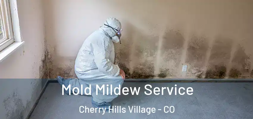  Mold Mildew Service Cherry Hills Village - CO