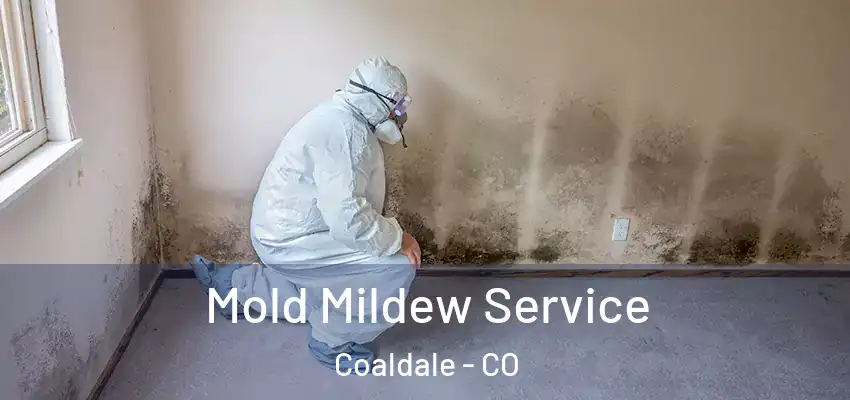  Mold Mildew Service Coaldale - CO