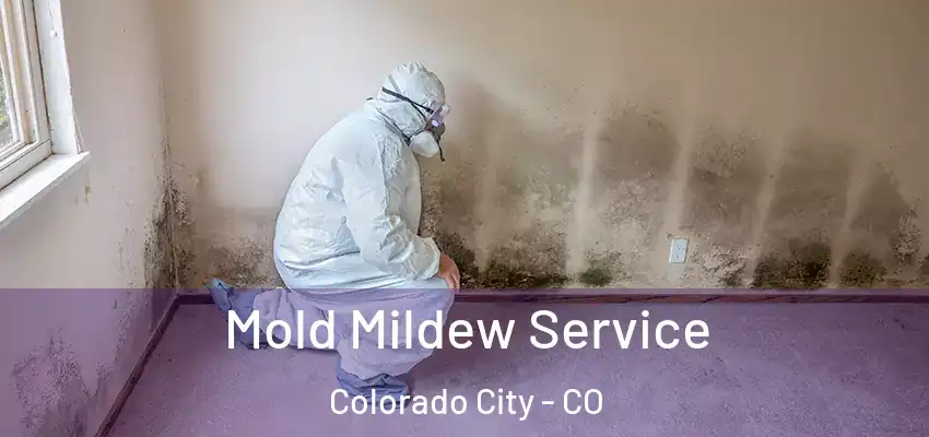  Mold Mildew Service Colorado City - CO