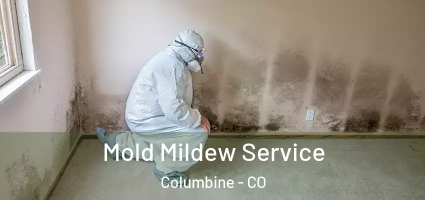  Mold Mildew Service Columbine - CO