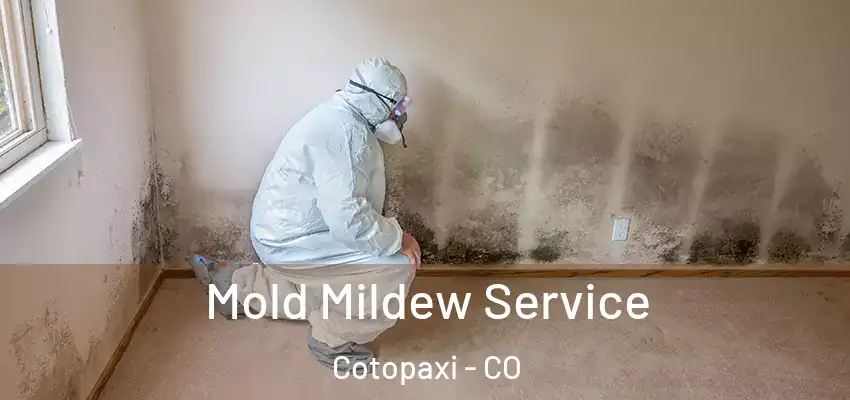  Mold Mildew Service Cotopaxi - CO