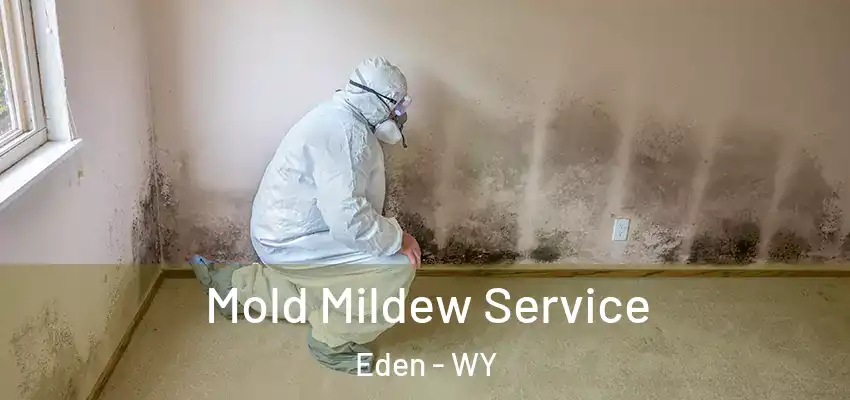 Mold Mildew Service Eden - WY