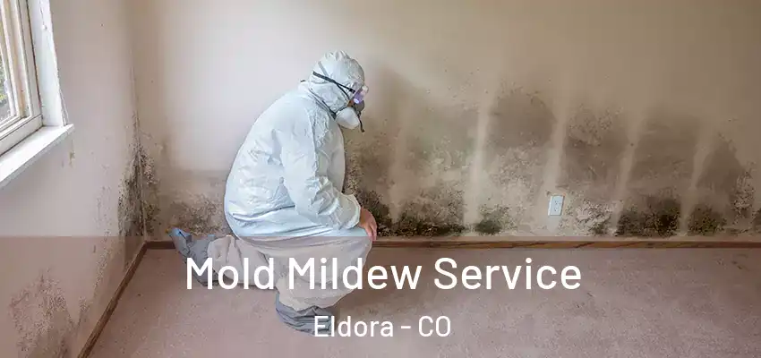 Mold Mildew Service Eldora - CO