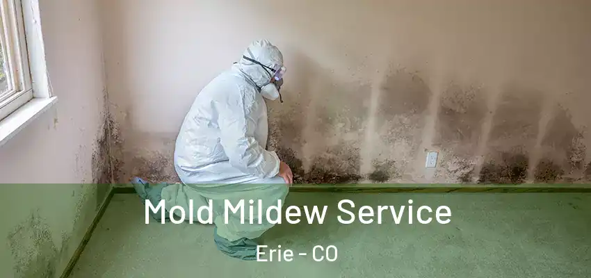 Mold Mildew Service Erie - CO