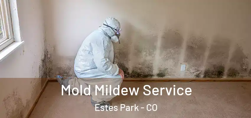  Mold Mildew Service Estes Park - CO