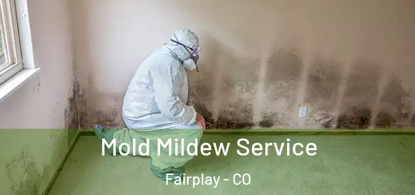  Mold Mildew Service Fairplay - CO