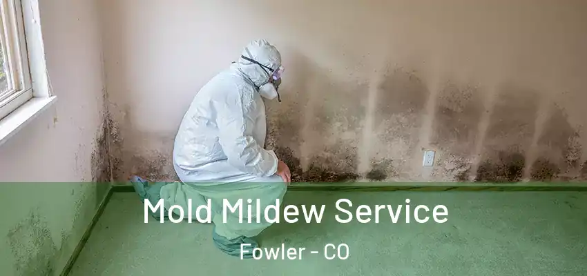  Mold Mildew Service Fowler - CO