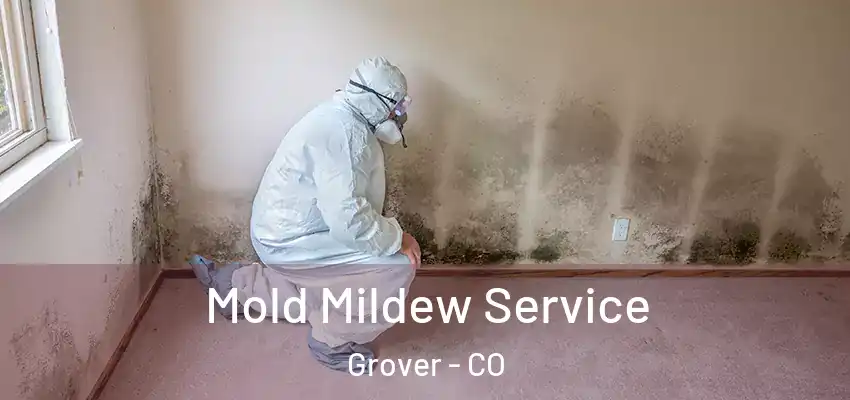  Mold Mildew Service Grover - CO