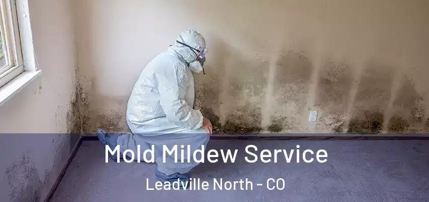  Mold Mildew Service Leadville North - CO