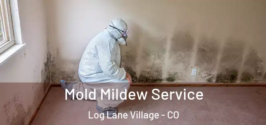  Mold Mildew Service Log Lane Village - CO
