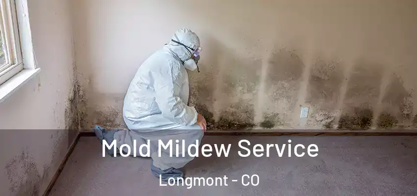 Mold Mildew Service Longmont - CO