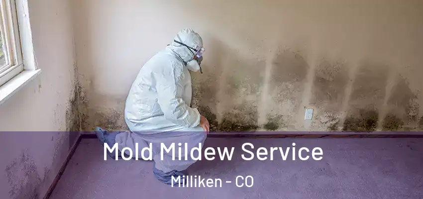  Mold Mildew Service Milliken - CO