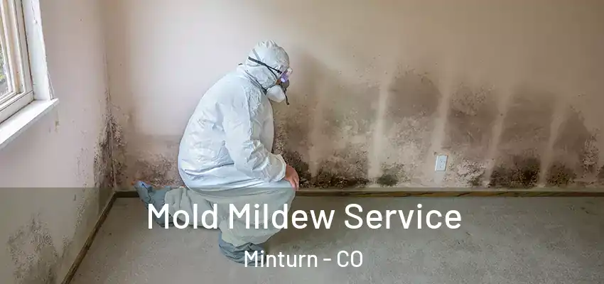  Mold Mildew Service Minturn - CO