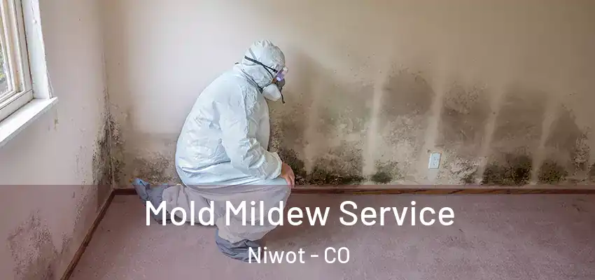  Mold Mildew Service Niwot - CO