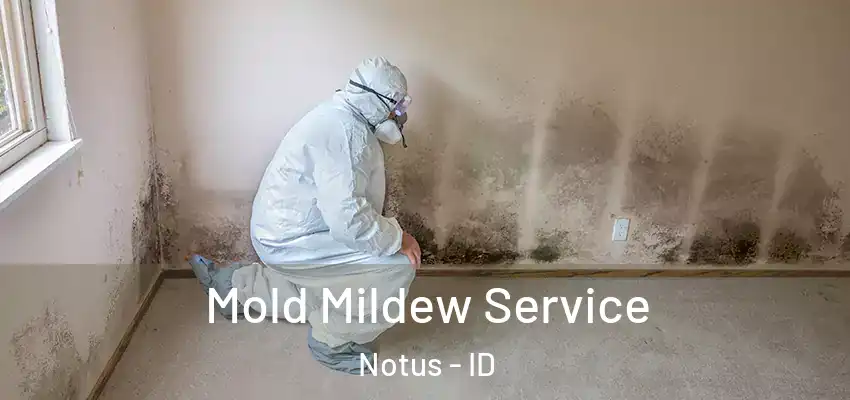  Mold Mildew Service Notus - ID