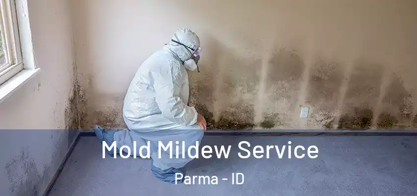  Mold Mildew Service Parma - ID